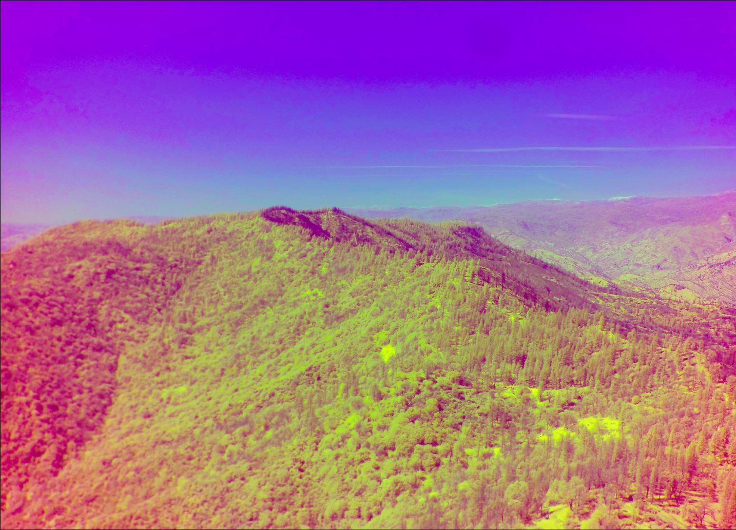 Fireline Free Flight Lab